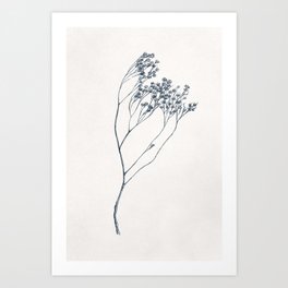 Ink Drawing Plant, Modern Vintage Style Botanical Illustration Art Print