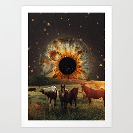 Night in the countryside Art Print