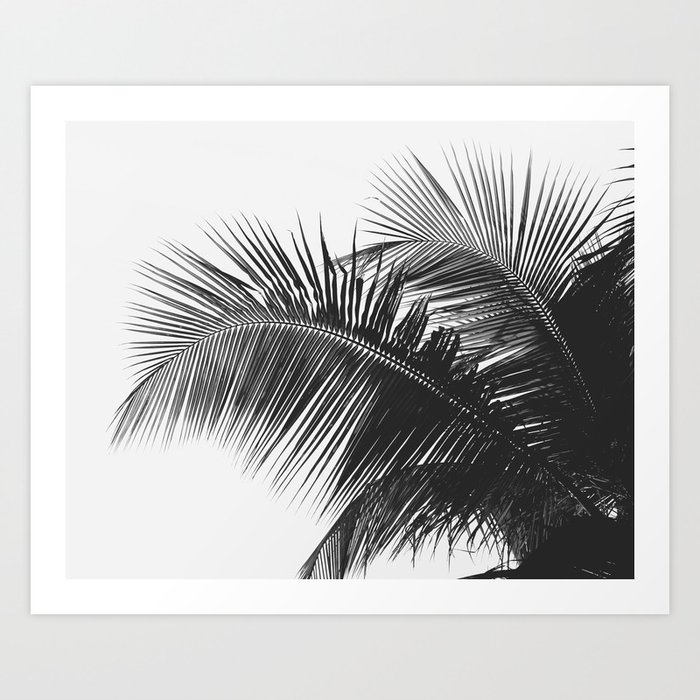 #03#B&W#Palm#tree Art Print