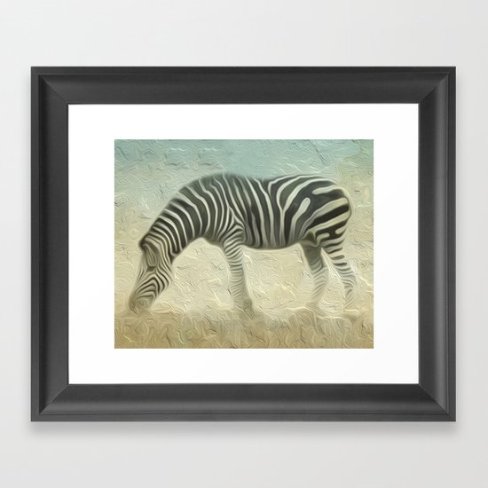 Zebra grazing Framed Art Print