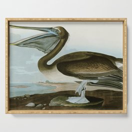 Brown Pelican - John James Audubon's Birds of America Print Serving Tray