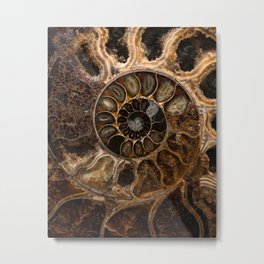 Earth treasures - Fossil in brown tones Metal Print | Photo, Crystals, Blaminsky, Fossil, Natural, Old, Spiral, Ammonite, Shell, Ornamented 