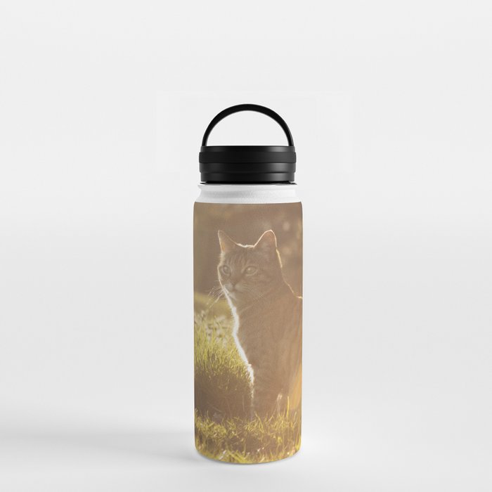 Tabby cat Water Bottle