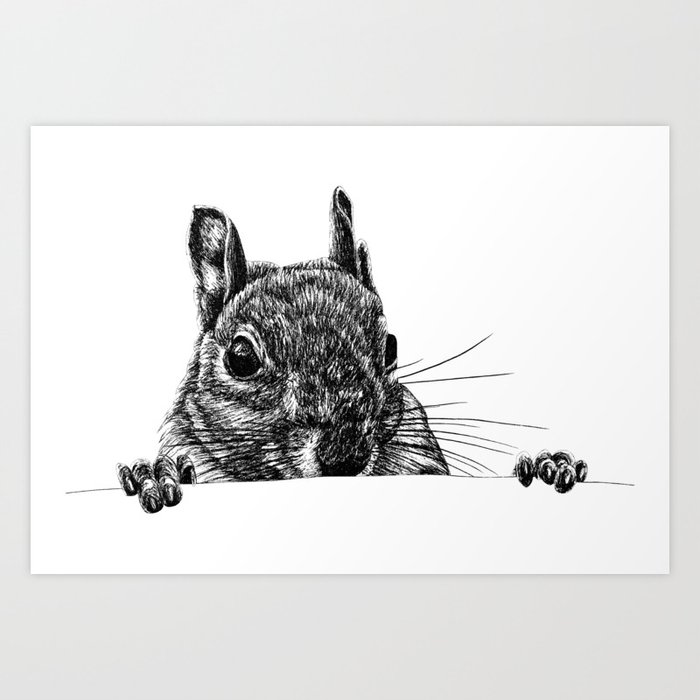 Grey squirrel ink illustration Art Print