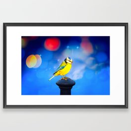 Blue Tit with Blue Bokeh Background Framed Art Print