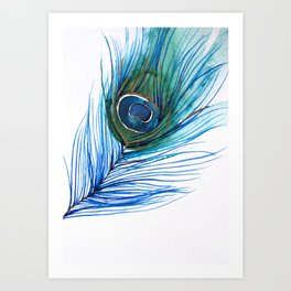 Peacock Feather Art Print