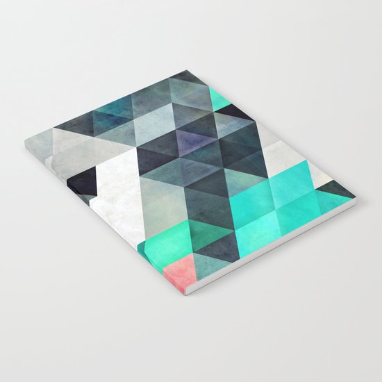 flyx Notebook