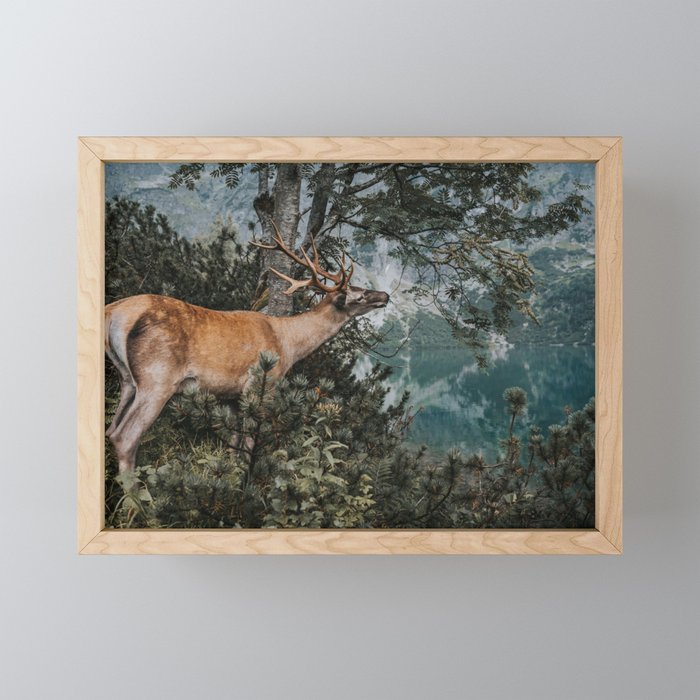 The Mountain Deer - Landscape and Nature Photography Framed Mini Art Print