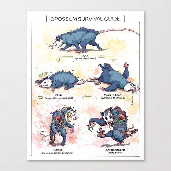 Opossum Survival Guide Canvas Print