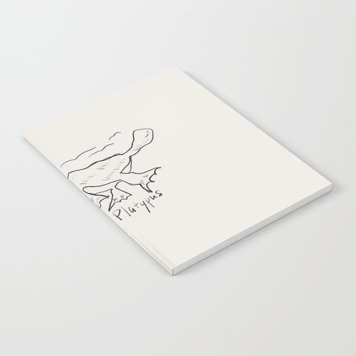 Puzzled platypus Notebook