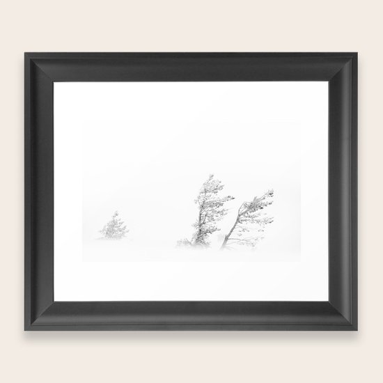 Blizzard Framed Art Print