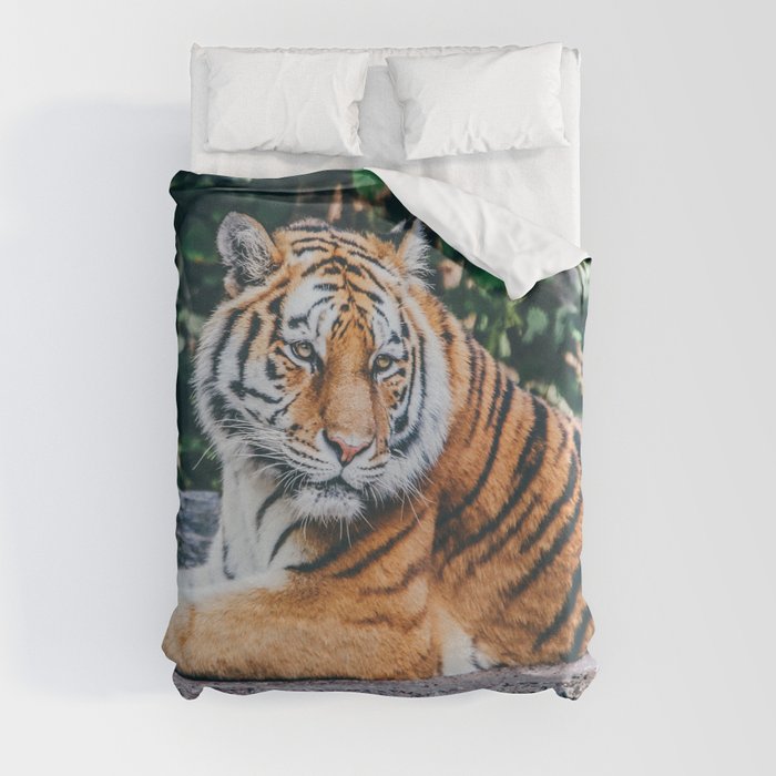 Majestic Tiger Sitting On A Rock Photography Duvet Cover