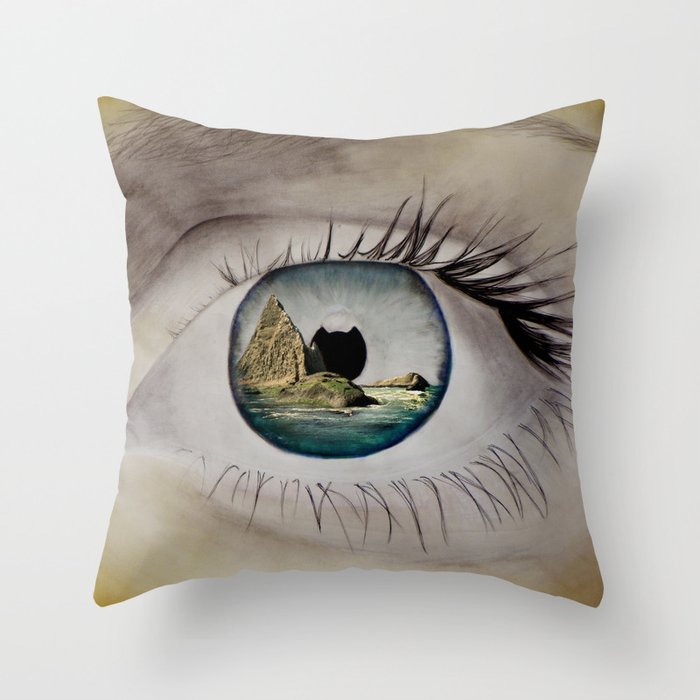 Airplane Print Throw Pillow - Amelia Aviation