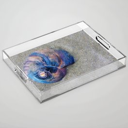 Shell Acrylic Tray