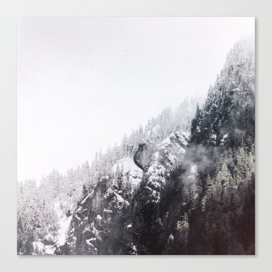 winter fog Canvas Print