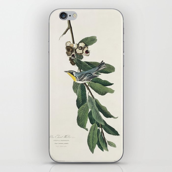 Yellow Throated Warbler from Birds of America (1827) by John James Audubon iPhone Skin