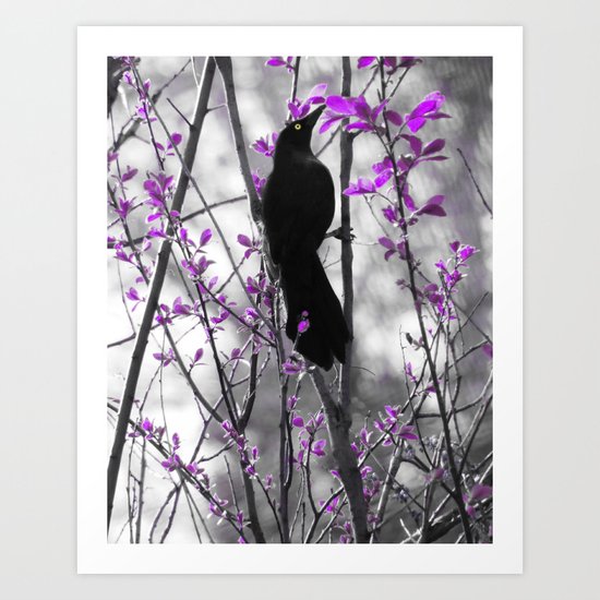The Grackle Art Print
