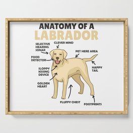 Anatomy Of A Labrador Retriever Sweet Dogs Serving Tray