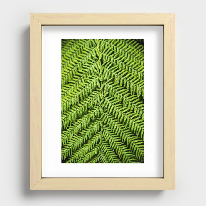 Graphic Fern Recessed Framed Print