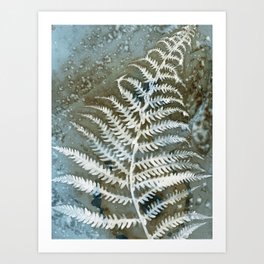 Blue and Brown Fern Leaf Botanical Watercolor Painting Art Print