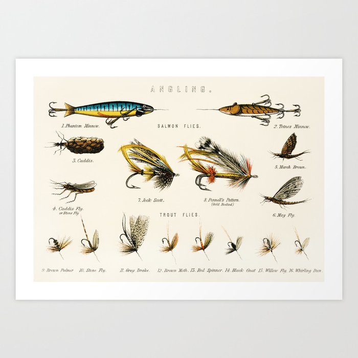 Illustrated Freshwater Fish Angling baits and fishing flies chart Art Print  by Atlantic Coast Arts and Paintings