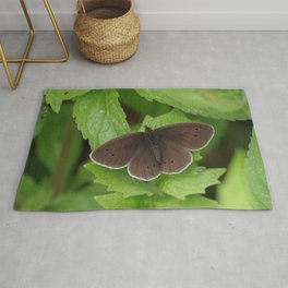 Ringlet Butterfly Rug | Wings, Ringlet, Insect, Ringletbutterfly, Nature, Photo, Butterfly, Color, Summer 
