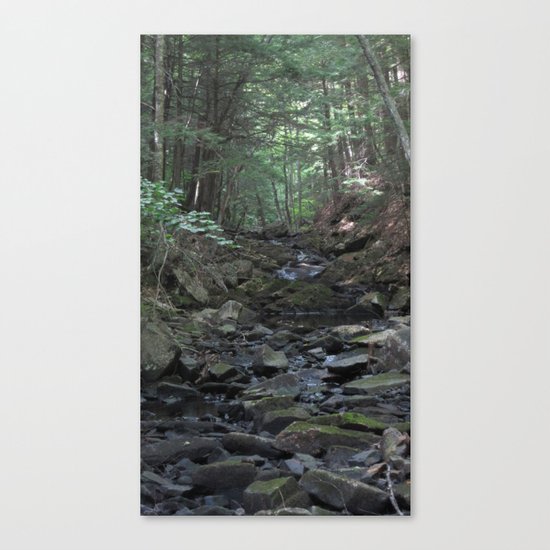 stream Canvas Print
