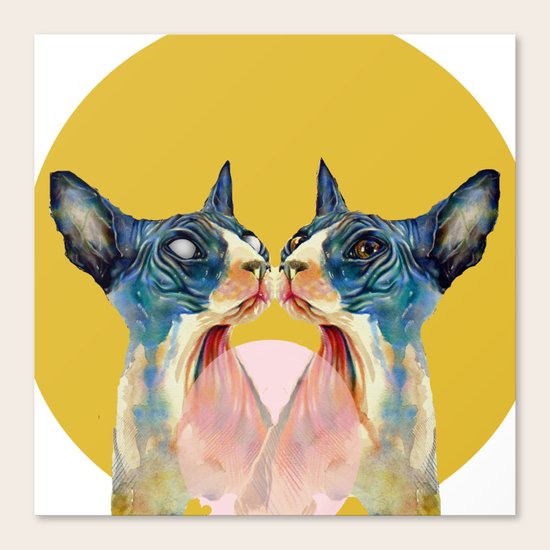 cat Canvas Print