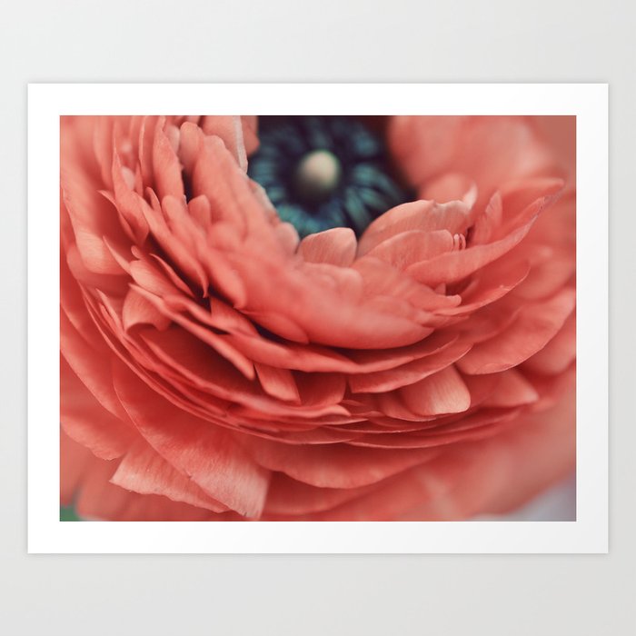 apricot Art Print by elle moss | Society6