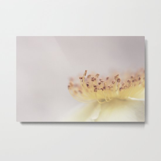 Miniature fireworks Metal Print