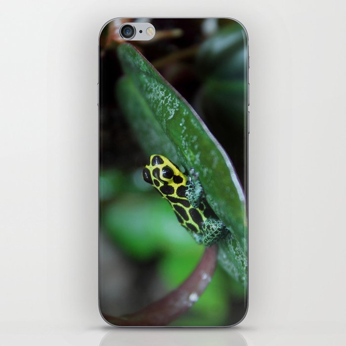 Poison Dart Frog R. Imitator Male iPhone Skin
