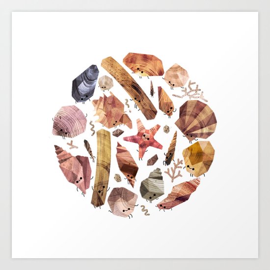 Seashell Collection Art Print