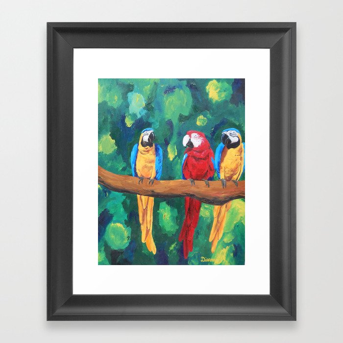 Parrot Framed Art Print
