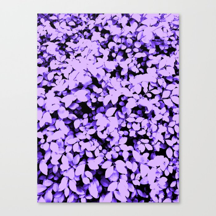 Purple Pastel Leaves Canvas Print
