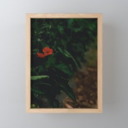 Red flower Framed Mini Art Print
