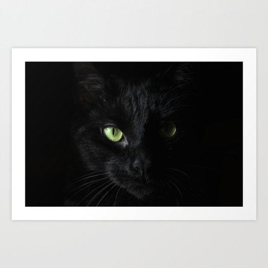 Black Cat Witchy Cat Green Eyes Cat Love Happy Halloween