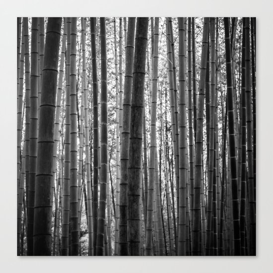 Bamboo Monochrome Canvas Print