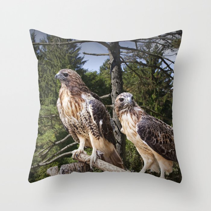 Pair of Red-tail Hawks Throw Pillow
