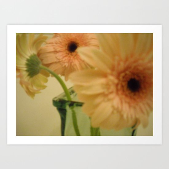 baby-pink daisy-petals ~ flowers Art Print