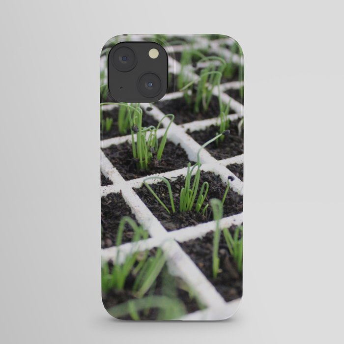 Brazil Photography - Tons Of Planted Chives iPhone Case