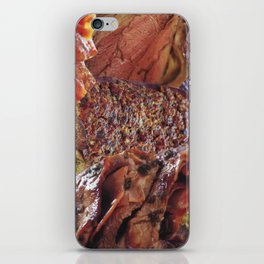 Meat Collage (Fresh) iPhone Skin