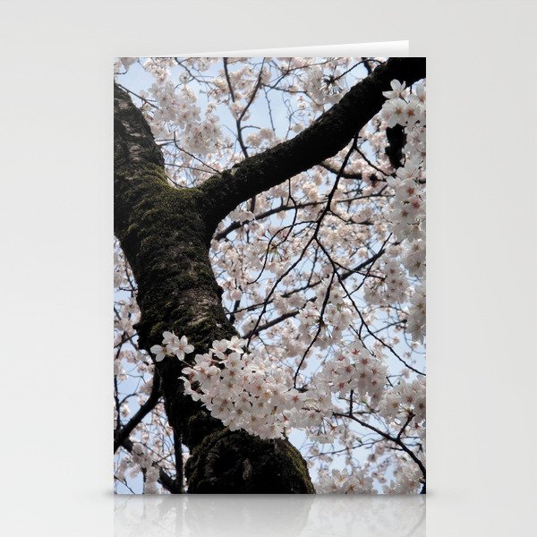 Sakura Blooming (Japan) Stationery Cards