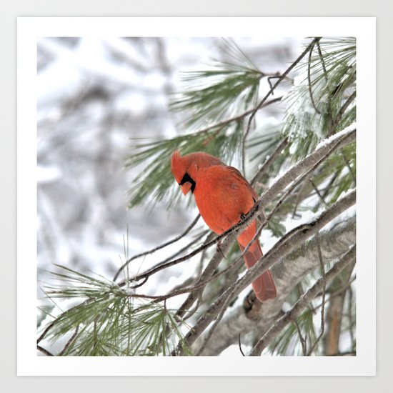 Snow Globe Cardinal (square) Art Print