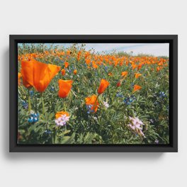 California Wildflower Superbloom Framed Canvas