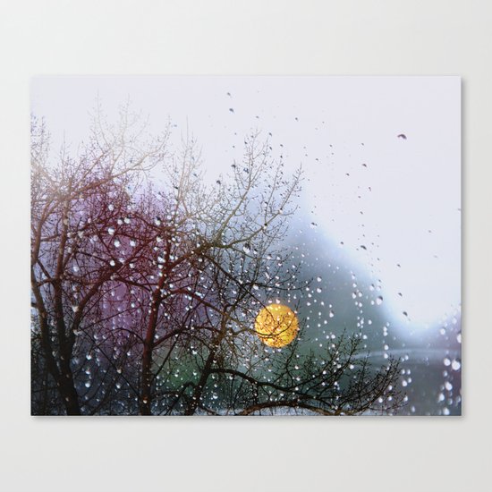 View from my window Canvas Print