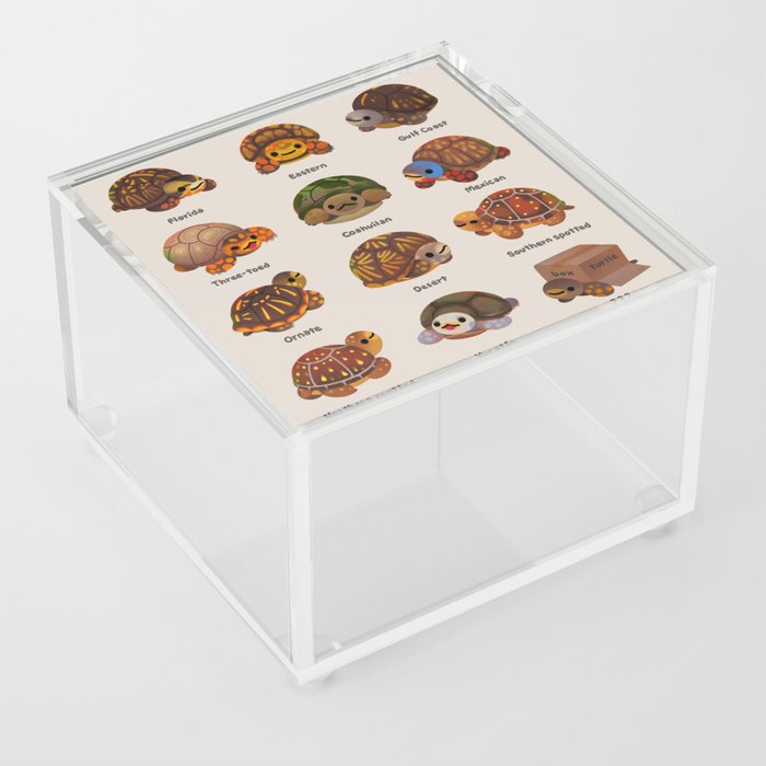 Box turtle Acrylic Box