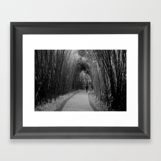 bamboo path Framed Art Print