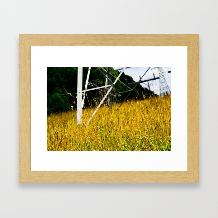 Orange Pylon Grass Framed Art Print