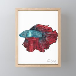 Beta fish Framed Mini Art Print
