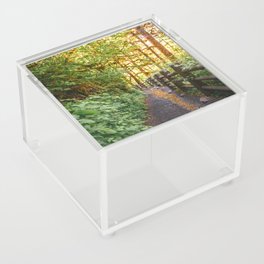Oregon Forest Trail PNW Acrylic Box